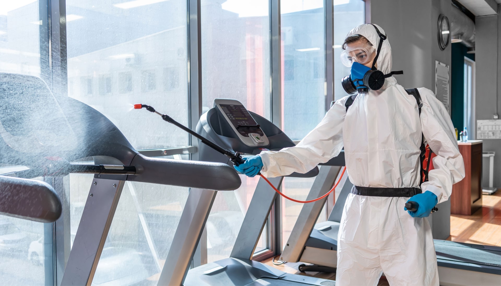 Commercial Mold Removal Services in Port St. Lucie