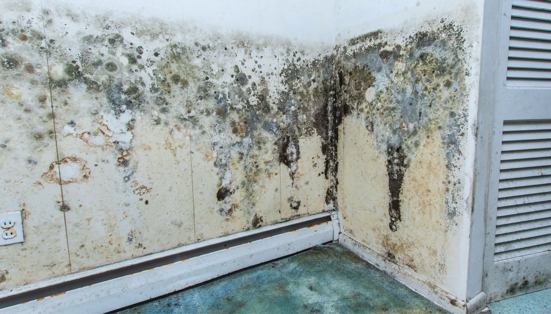A mold remediation team using specialized techniques to remove mold damage and control odors in a Port St. Lucie property, with a focus on safety and efficiency